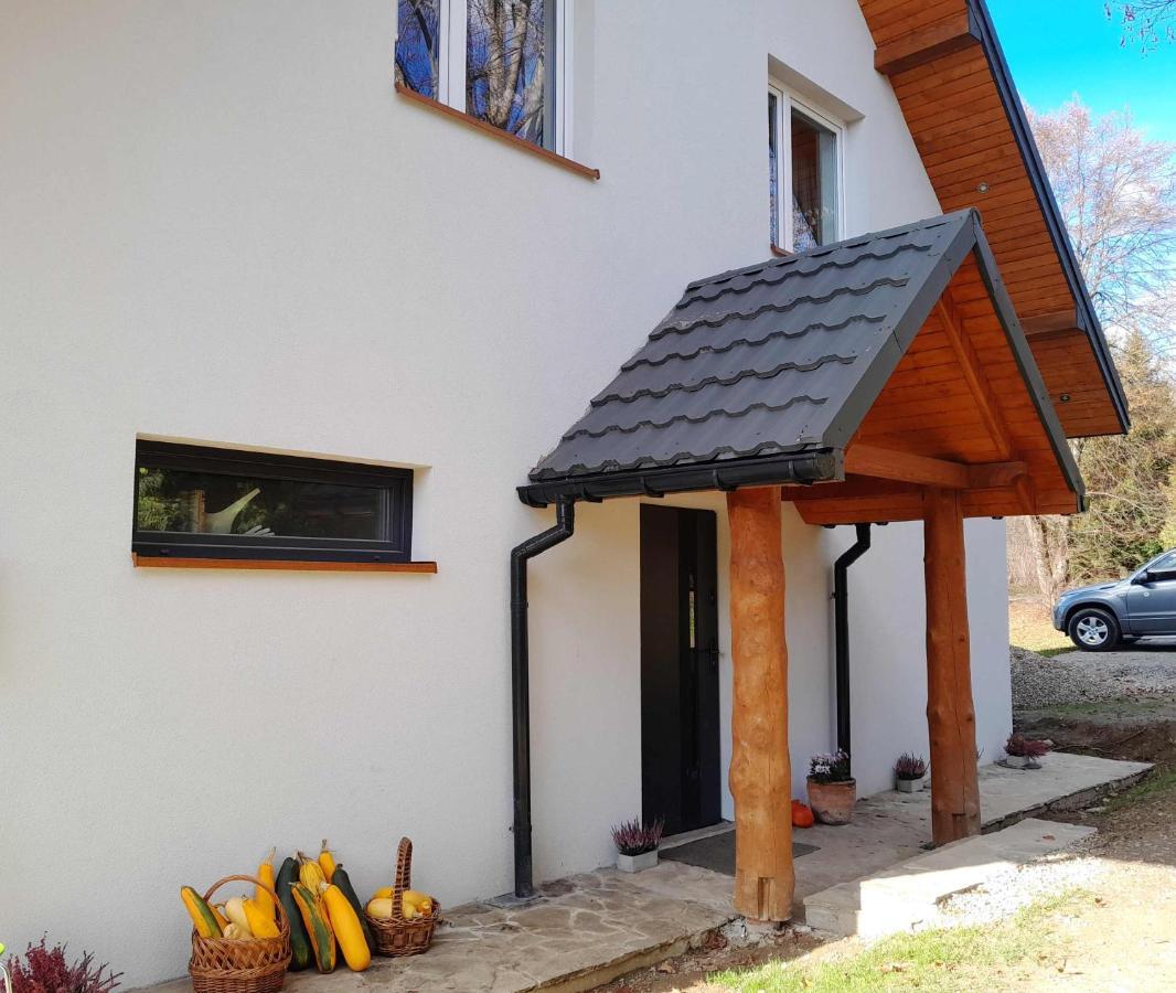 Villa Sowinka à Lutowiska Extérieur photo