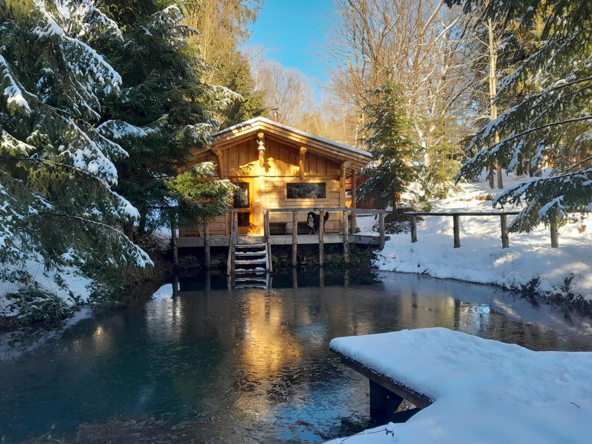 Villa Sowinka à Lutowiska Extérieur photo